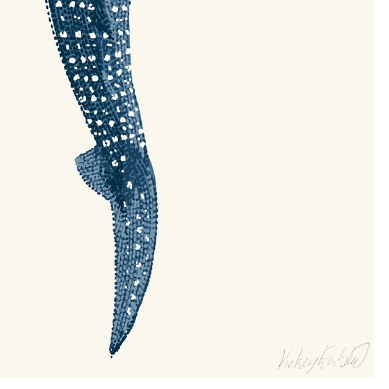 Whale Shark