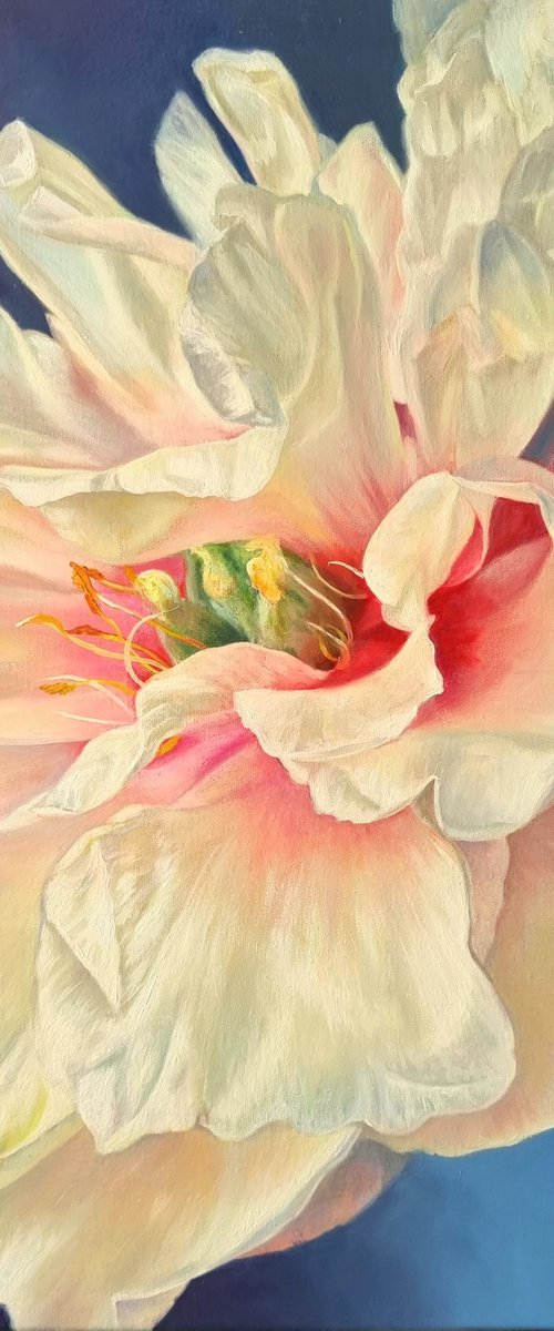 "Pearl. " peony  flower 2022 by Anna Bessonova (Kotelnik)