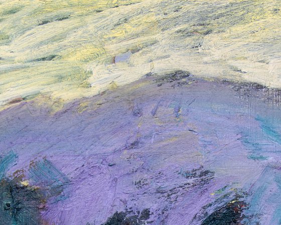 Lavender Meadows