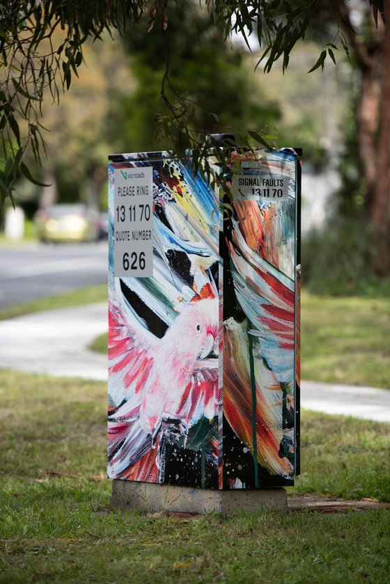 Capturing Freedom - Pink Cockatoo