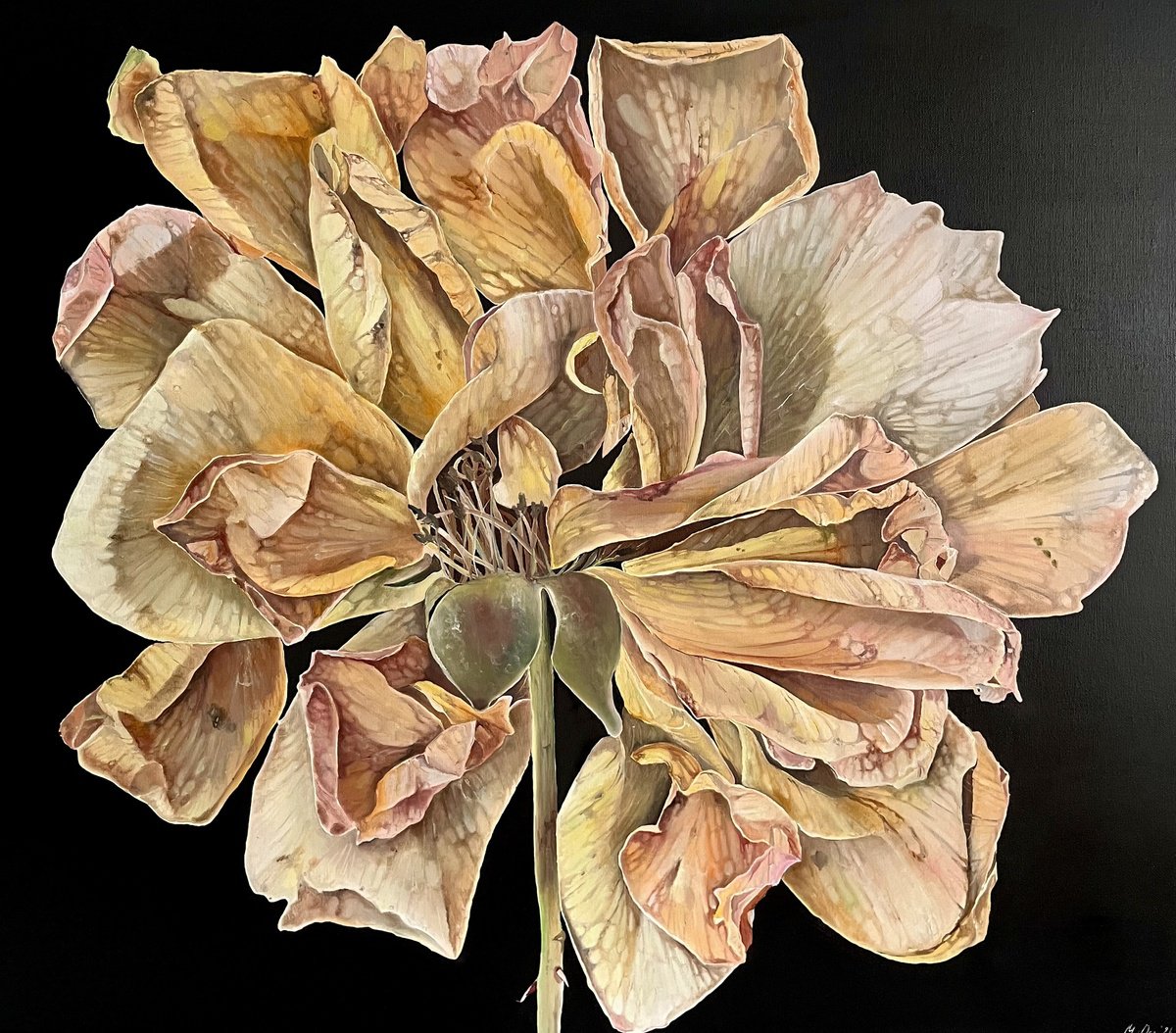 Photorealistic Botanical Oil Painting By Myroslava Denysyuk, 31 X 28", Soulmate 70X80Cm, Original Artwork