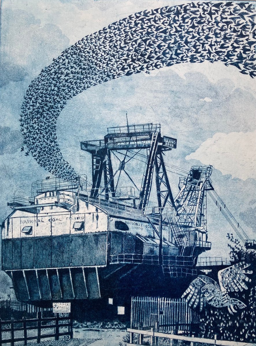 Illustrative Landscape Etchings & Engravings By Janis Goodman, 16 X 21, The Owl, The Starlings And, Original Artwork