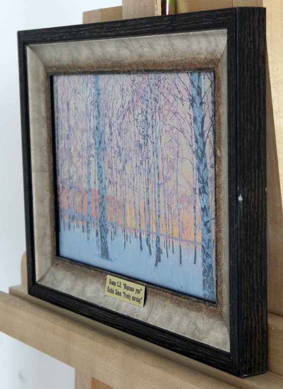 March morning. Birch trees