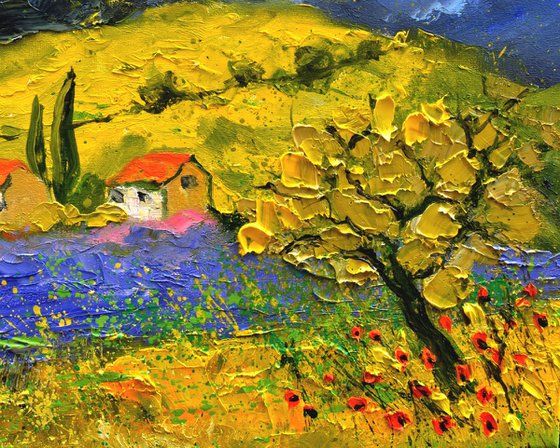 Provence 2025