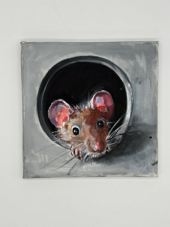 Curiosity in the Shadows: Mouse in a Pipe