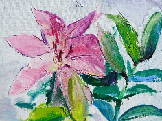 " lily flowers "