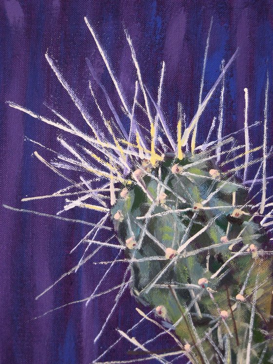 Cactus in Blue Pot