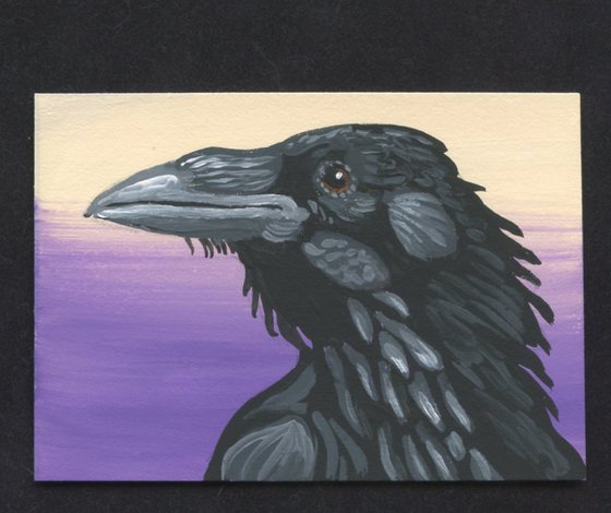 Crow Raven Bird