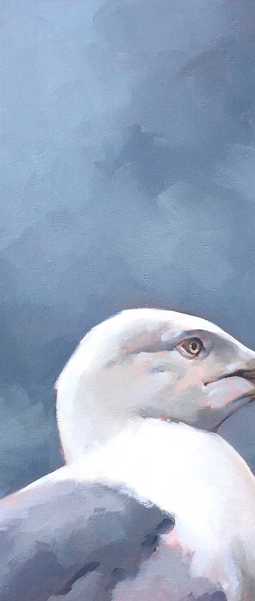 Gull and Grey Sky by Andrew Morris
