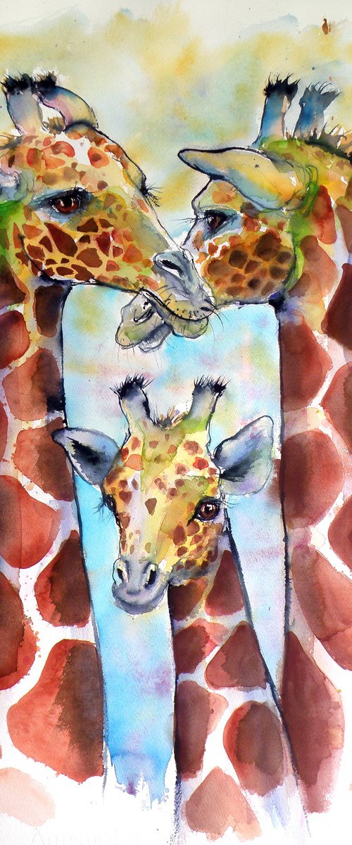 Giraffe family by Kovács Anna Brigitta