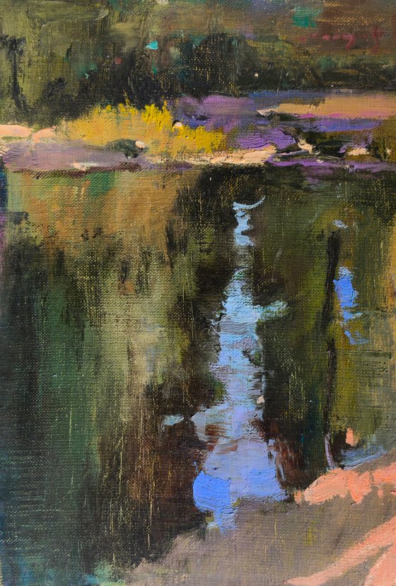 Echoes of Water