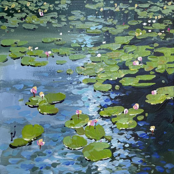 Water lilies. At the bank in the shade