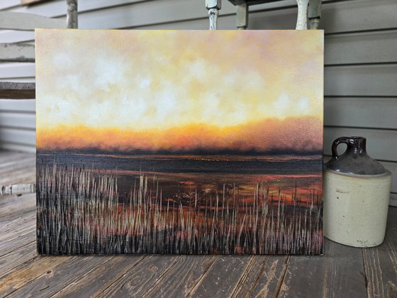 Marshland Solace