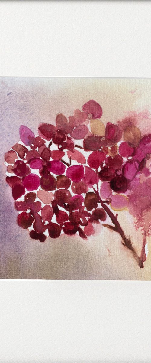 Pink Hydrangea Flower Head by Teresa Tanner