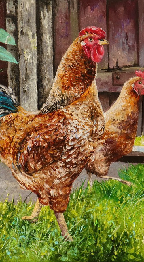 Country Chickens by Natalia Shaykina