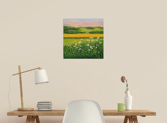 Daisy meadow landscape