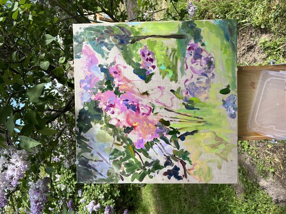 A lilac in the garden