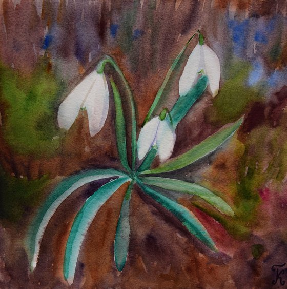 Snowdrops watercolor painting, flower wall art, floral gift for her