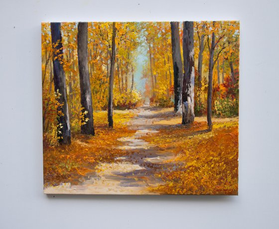 Fall forest.