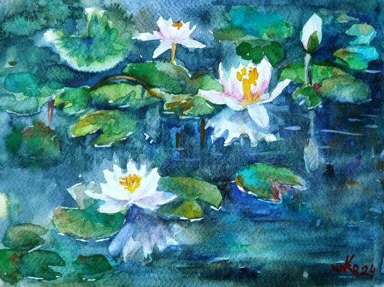 Water lily pond