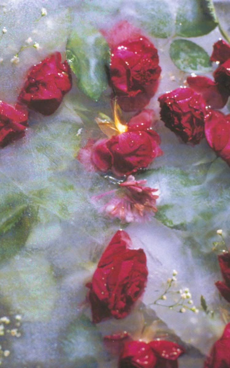 Roses by Cassandra Jones Digital Artist
