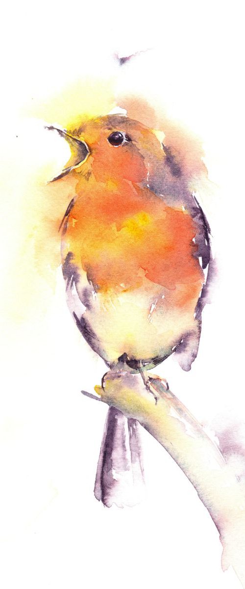 Singing Robin by Anjana Cawdell