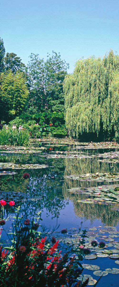 Summer Water Garden at Giverny by Alex Cassels