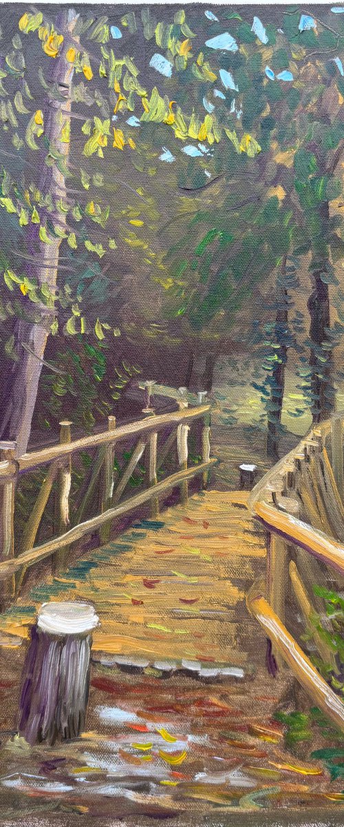 Autumn in Dutch forest by Dmitry Fedorov