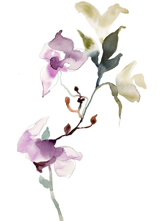 Orchid No. 7