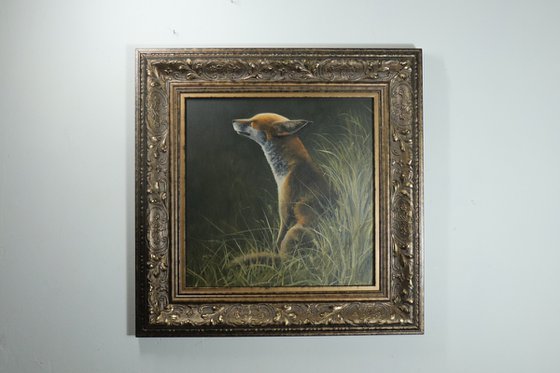 Fox in the Sun Animal original, Foxes Oil Artwork