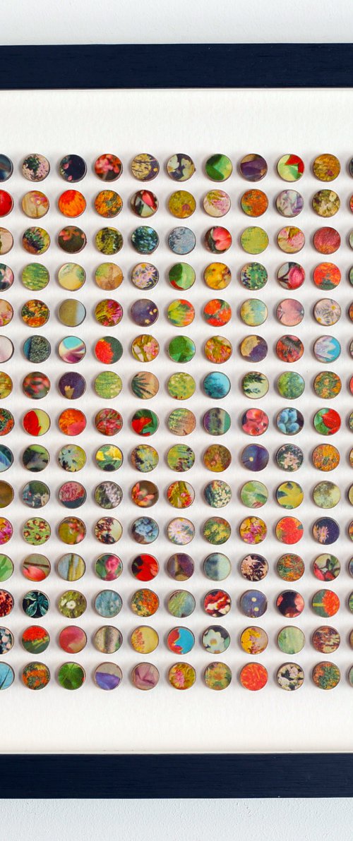 225 floral dots 3d original collage by Amelia Coward