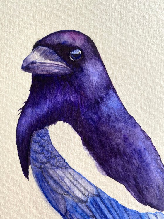 Watercolour bird magpie sitting on a branch in the rays of the sun 3