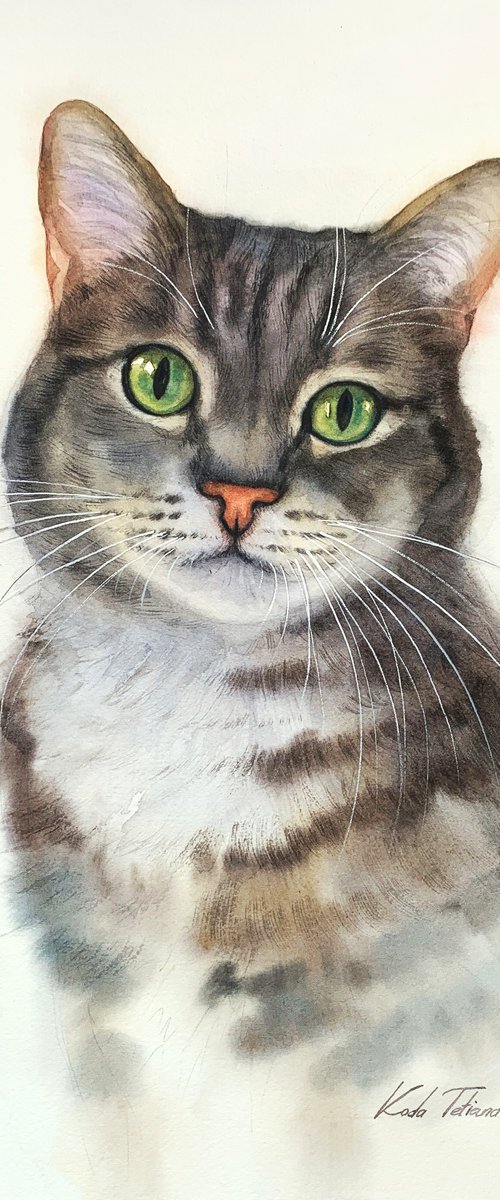 Cat portrait 28x40 cm by Tetiana Koda