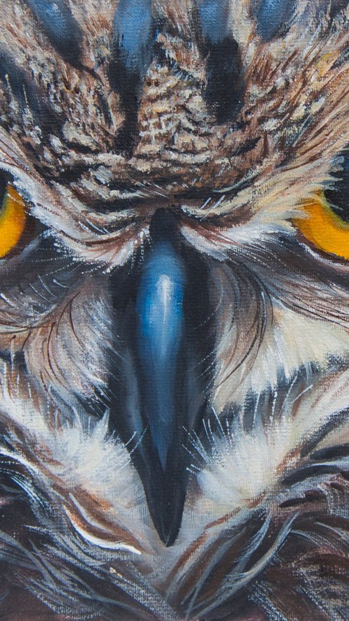 "Owl's Gaze — Golden Eyes That Hypnotize" by Norma Beatriz Zaro