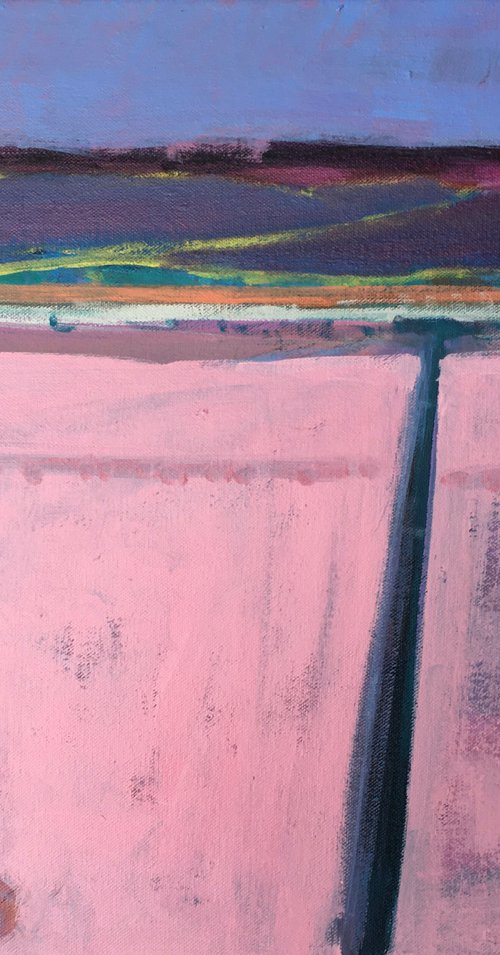 Distance with Pink by Chrissie Havers