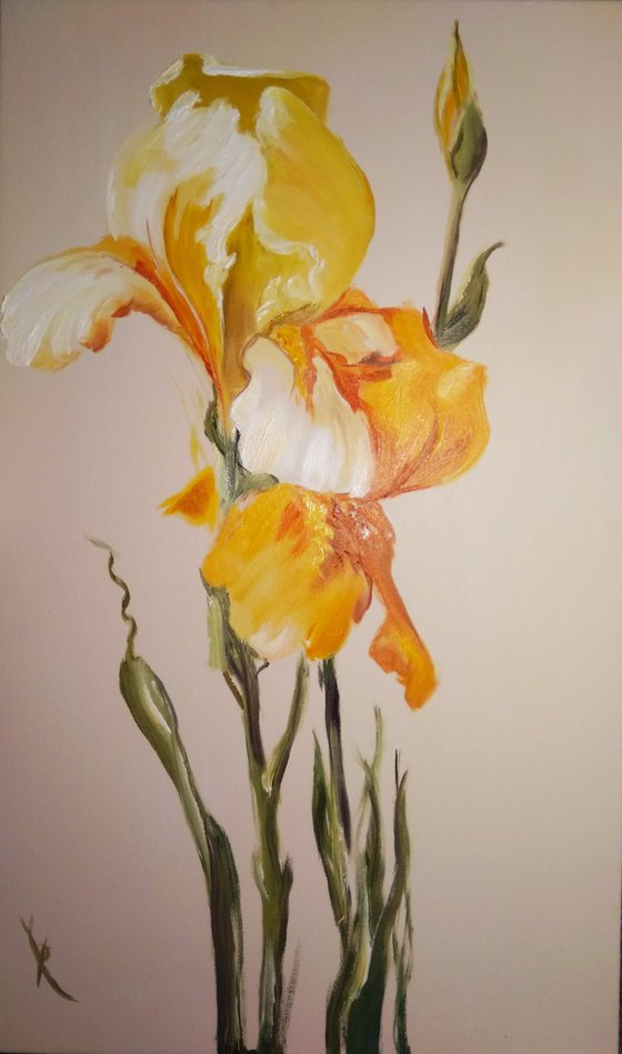 Yellow Irises