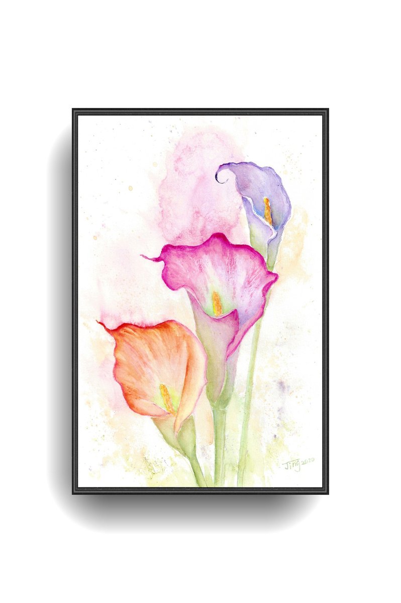 Colorful Calla lily by Jing Tian