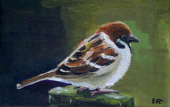 Sparrow #4