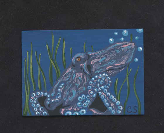 ACEO ATC Original Painting Octopus Marine Wildlife Art-Carla Smale
