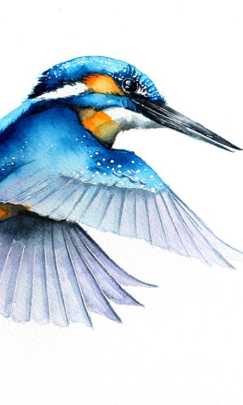 Flying Kingfisher, wildlife, birds and nature watercolour by Karolina Kijak