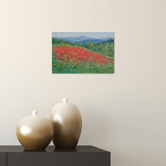 Field of poppies in Tuscany