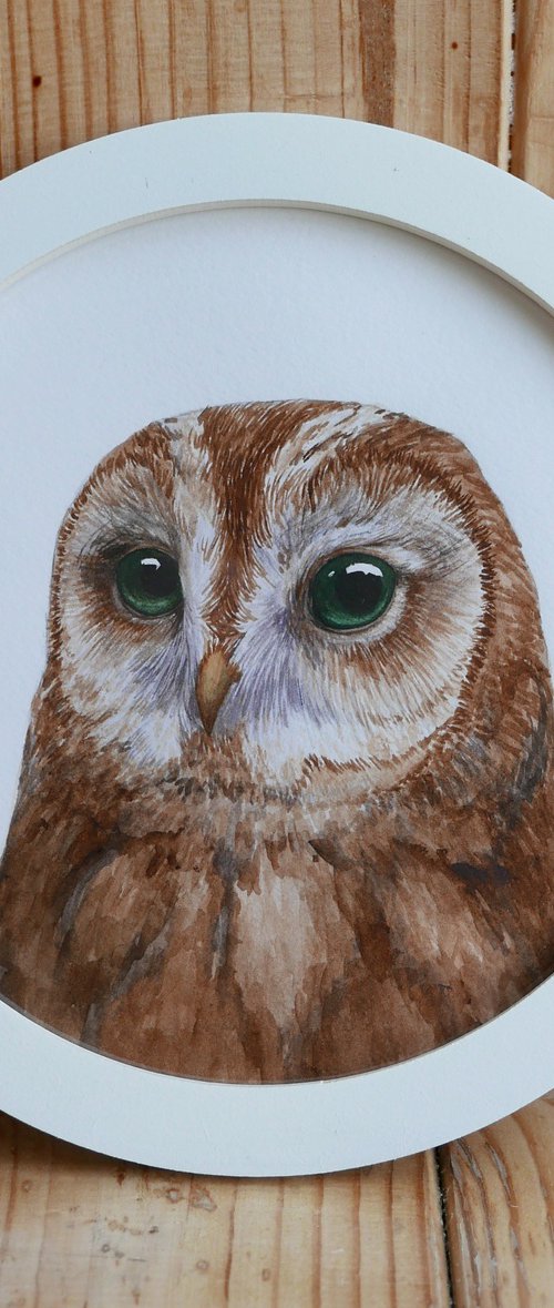 Framed owl. Part 3. by Karina Danylchuk