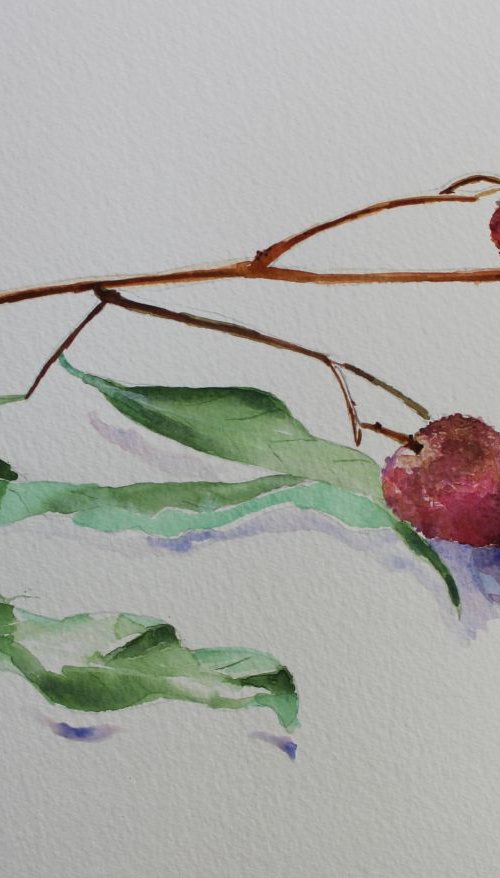 Lychee Summer fruits still life by Geeta Yerra