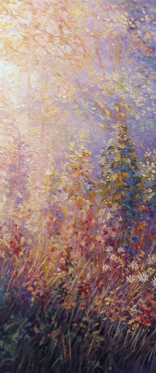Sunrise by Dalia Barke