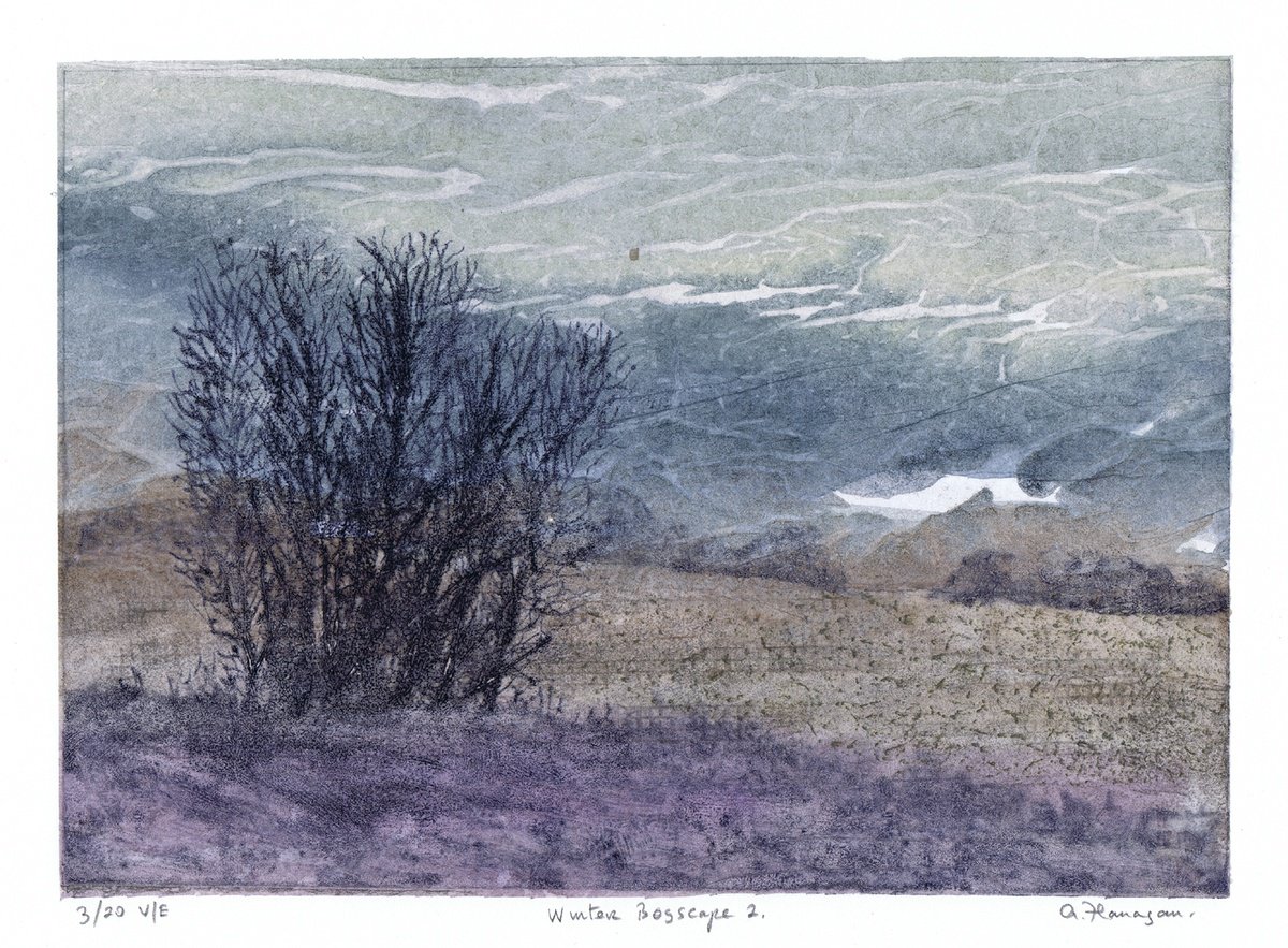 Impressionistic Landscape Etchings & Engravings By Aidan Flanagan Irish Landscapes, 17 X 11, Winter Bogscape 2 - Ireland, Artfinder