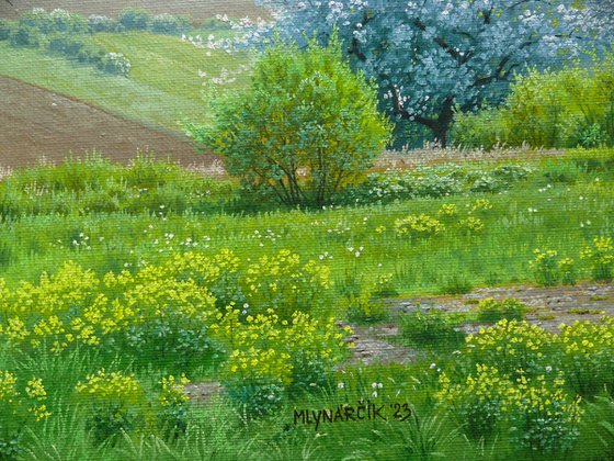 May landscape