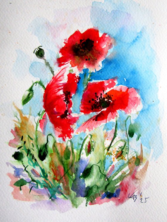 Red poppies II
