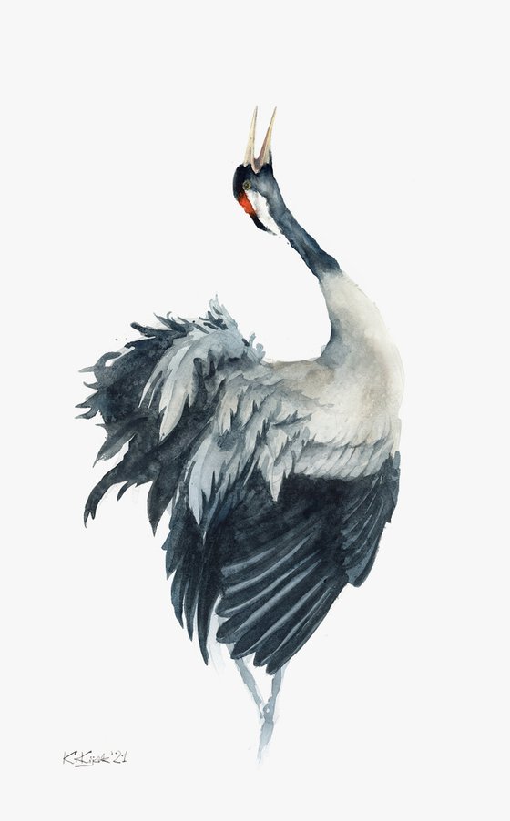 Common Crane in watercolor