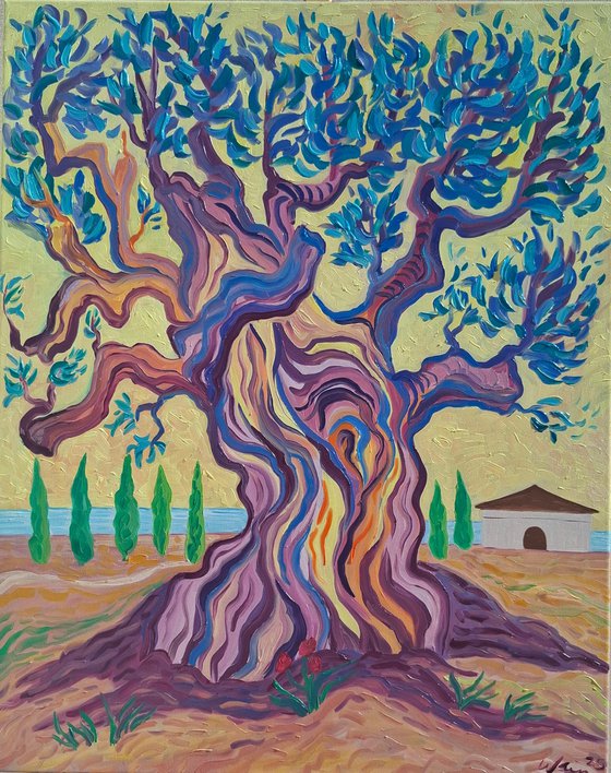 Ancient Olive tree Altea Campo