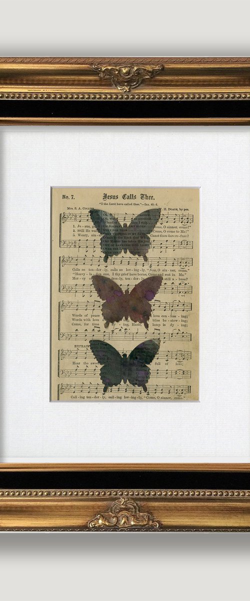Butterfly Collage 16 by Kathy Morton Stanion